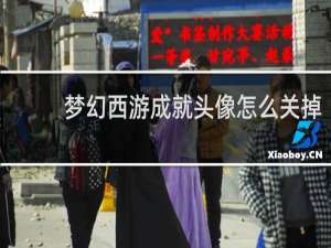 梦幻西游成就头像怎么关掉