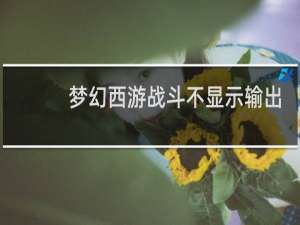 梦幻西游战斗不显示输出