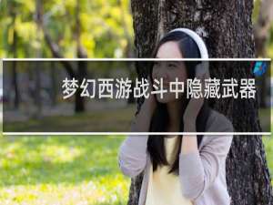 梦幻西游战斗中隐藏武器