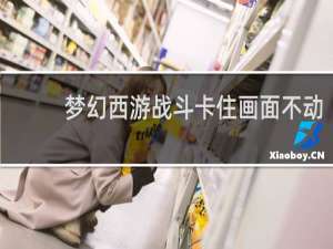 梦幻西游战斗卡住画面不动