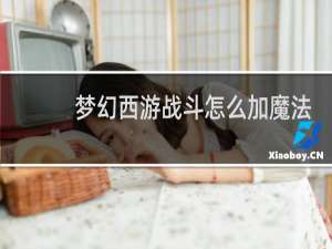 梦幻西游战斗怎么加魔法