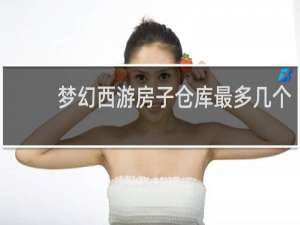 梦幻西游房子仓库最多几个