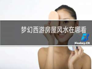 梦幻西游房屋风水在哪看