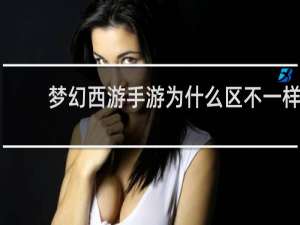 梦幻西游手游为什么区不一样