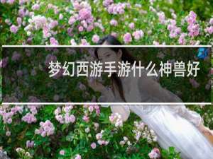 梦幻西游手游什么神兽好