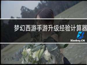 梦幻西游手游升级经验计算器