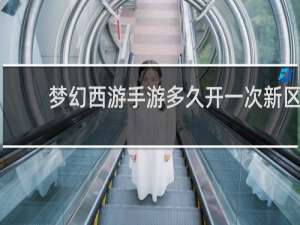 梦幻西游手游多久开一次新区