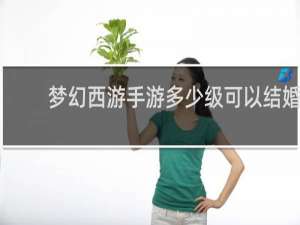 梦幻西游手游多少级可以结婚