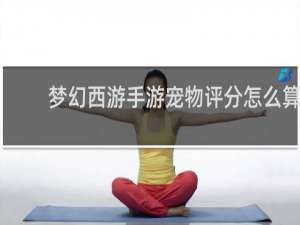 梦幻西游手游宠物评分怎么算