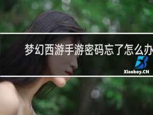 梦幻西游手游密码忘了怎么办