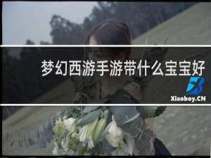 梦幻西游手游带什么宝宝好