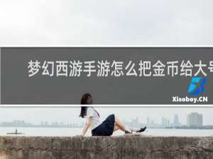 梦幻西游手游怎么把金币给大号