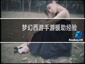 梦幻西游手游援助经验