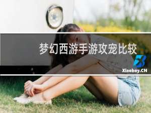 梦幻西游手游攻宠比较