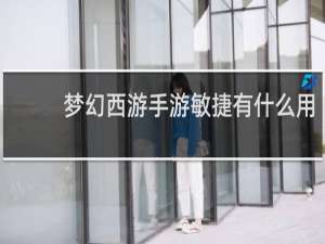 梦幻西游手游敏捷有什么用