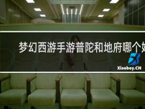 梦幻西游手游普陀和地府哪个好