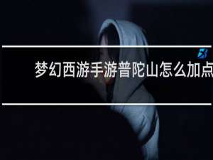 梦幻西游手游普陀山怎么加点