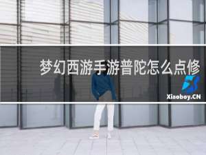 梦幻西游手游普陀怎么点修