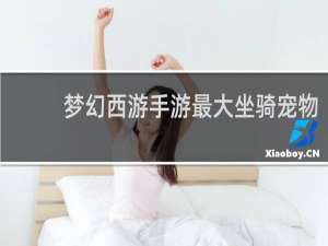 梦幻西游手游最大坐骑宠物