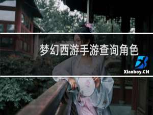 梦幻西游手游查询角色
