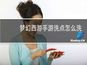 梦幻西游手游洗点怎么洗