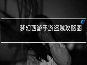 梦幻西游手游盗贼攻略图