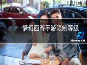 梦幻西游手游限制等级