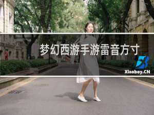 梦幻西游手游雷音方寸