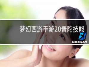 梦幻西游手游 普陀技能
