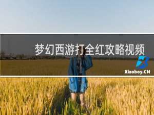 梦幻西游打全红攻略视频
