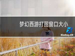 梦幻西游打图窗口大小