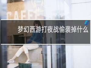 梦幻西游打夜战偷袭掉什么