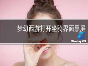 梦幻西游打开坐骑界面黑屏