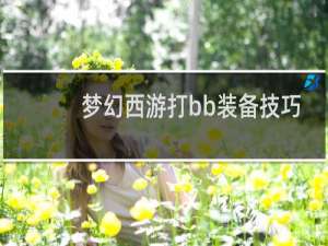 梦幻西游打bb装备技巧