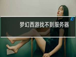 梦幻西游找不到服务器
