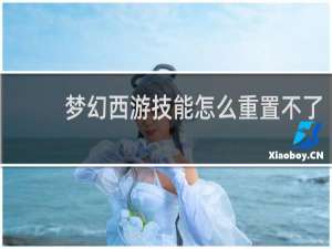 梦幻西游技能怎么重置不了