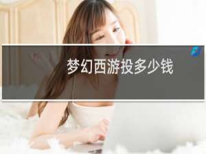 梦幻西游投多少钱