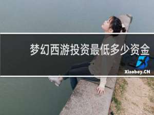 梦幻西游投资最低多少资金