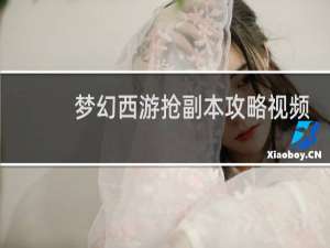 梦幻西游抢副本攻略视频