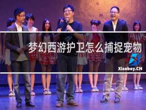 梦幻西游护卫怎么捕捉宠物