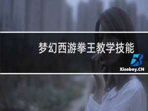 梦幻西游拳王教学技能