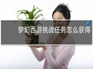 梦幻西游挑战任务怎么获得