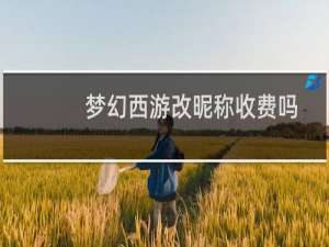 梦幻西游改昵称收费吗