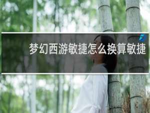 梦幻西游敏捷怎么换算敏捷