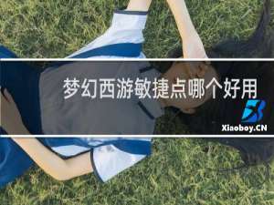 梦幻西游敏捷点哪个好用