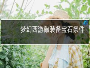 梦幻西游敲装备宝石条件