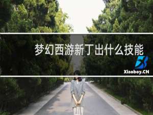 梦幻西游新丁出什么技能