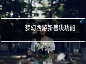 梦幻西游新兽决功能