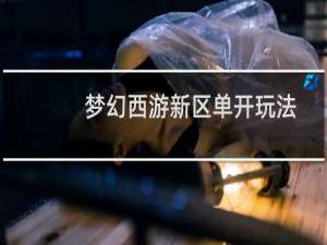 梦幻西游新区单开玩法