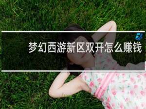 梦幻西游新区双开怎么赚钱